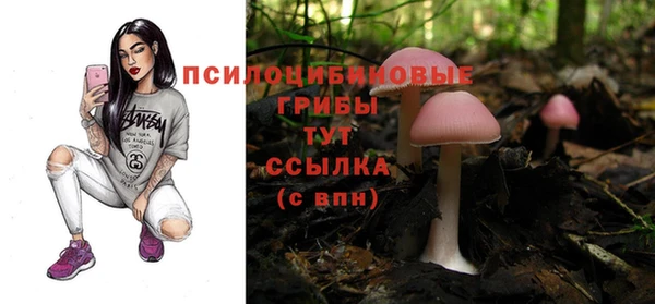 PSILOCYBIN Куйбышев