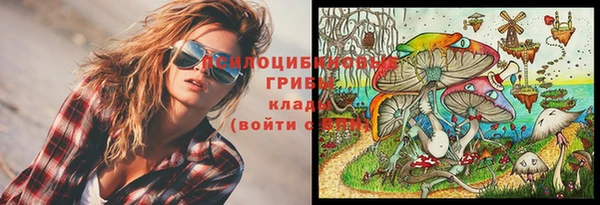PSILOCYBIN Куйбышев